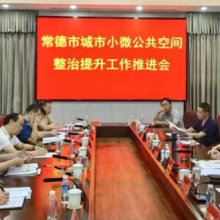 常德市城市小微公共空间整治提升工作推进会召开