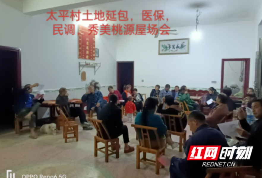桃源县沙坪镇：干群齐发力 “秀美”焕新颜