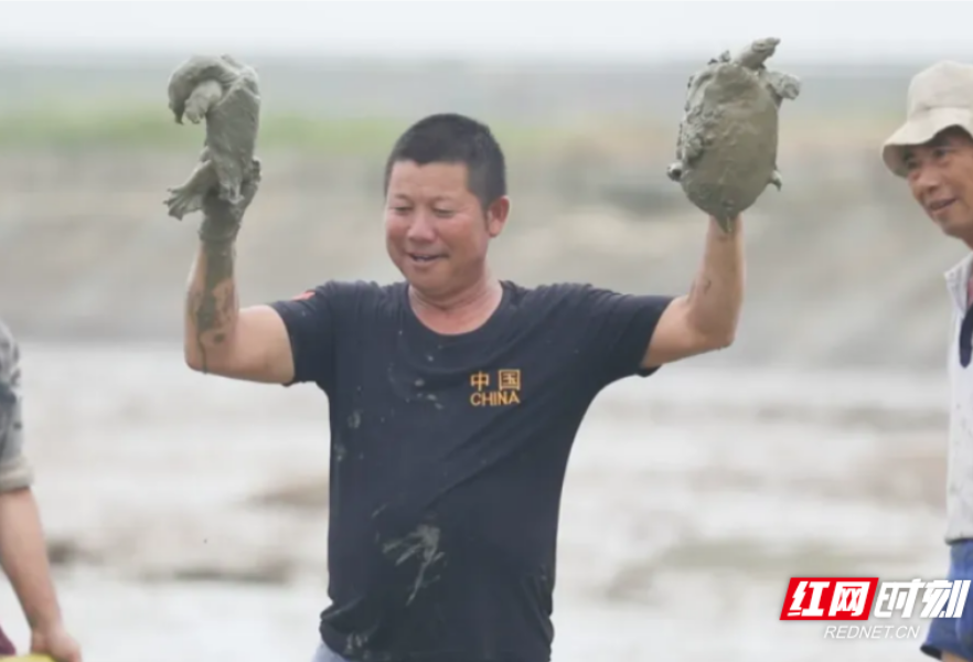 汉寿甲鱼远销肯尼亚 地标品牌闪耀国际舞台