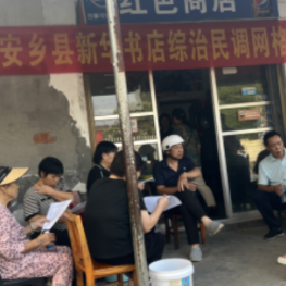 安乡县新华书店：综治民调进行时，凝心聚力创平安