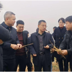 常德市领导督导农业安全生产工作