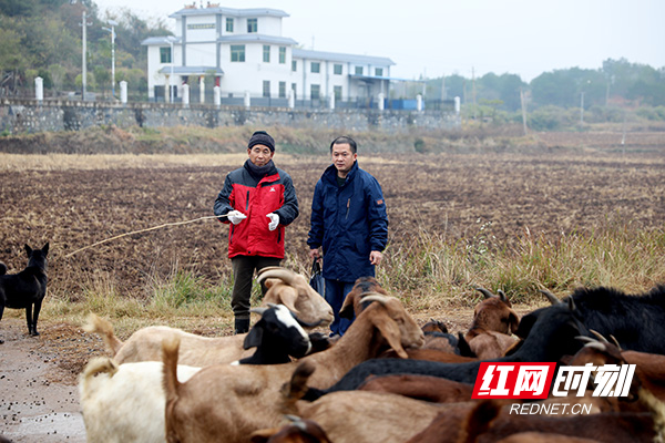 生活好了，环境美了，村民们笑了——郴州联通助力桂阳银河村脱贫纪实