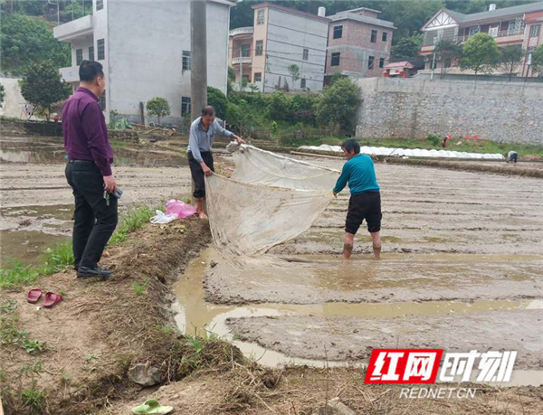 宜章：纪检干部助力春耕备耕遏制耕地抛荒