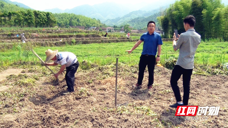 资兴：助力扶贫惠农 直播卖货近万斤鱼腥草