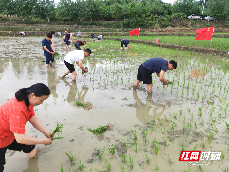 桂阳县党员干部积极送服务助生产
