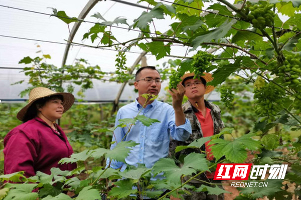 郴州：科技服务下基层 田间地头展风姿