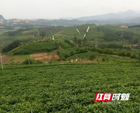 320445f6a76c4bd0926a5ac979563c20_副本_副本.jpg