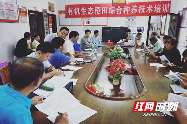 临武西瑶乡：“无心之言”也要“全心办理”