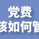 党费应该如何管理？带你一图了解
