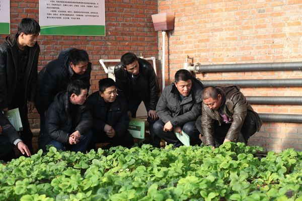 学费全免、带编工作，全郴州仅招生97人！