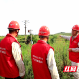 国网桂阳县供电公司：抗旱保电助农灌 农田解渴民解忧