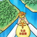 汝城县纪委：唤醒“趴账”，让群众共享生态红利