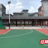 临武县罗家村：“四有”打造乡村振兴标杆