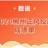 数说2020郴州正风反腐成绩单