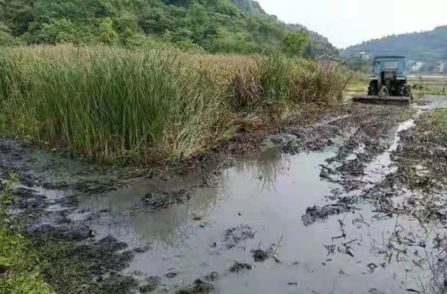 永兴马田镇：治理耕地抛荒见实效