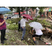 灾害袭来，他们冲在抗灾自救第一线