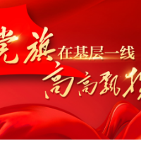 党建引领 助推经济社会发展 ——记湖南省先进基层党组织苏仙区飞天山镇党委