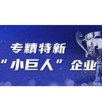 郴州市6家公司入选第四批国家级专精特新“小巨人”