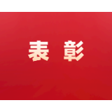 优秀！他们获得郴州青年五四奖章