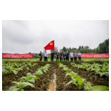 桂阳烟草：以点带面 让党建“盆景”变“风景”