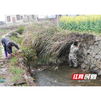 临武县：为渠道清障 为防汛减压