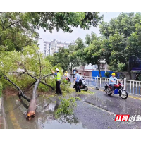 暴雨过后 宜章县多部门联合清理路面保畅通