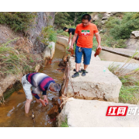 临武：引得清水良田润