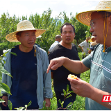 汝城： 科技解难题 产业增效益