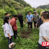桂东优化营商环境助推林业高质量发展