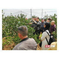 资兴推出“科技大餐” 助力春耕备耕