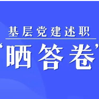 基层党建述职“晒答卷”——资兴篇