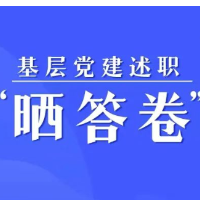 基层党建述职“晒答卷”——桂阳篇