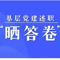 基层党建述职“晒答卷”——临武篇