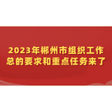 2023年郴州市组织工作总的要求和重点任务来了