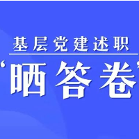 基层党建述职“晒答卷”——桂东篇