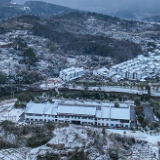 组图｜沙洲村：冰雪与“温暖” 迎接幸福花
