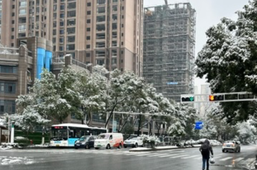 诗歌：雪落在大地上（外一首）