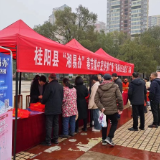 桂阳县集中宣传推广“湘易办”获赞