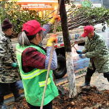 北湖城管：春暖花开绿化忙