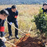 郴州高速：党建聚力添“新绿”  警路联建护“畅安”