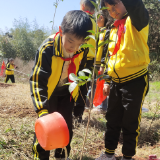 郴州：植”此青绿 共护青山绿水