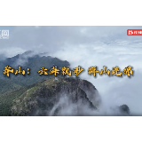 莽山：云海飘渺 群山连绵