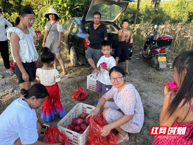 宜章县乐水河村：引种火龙果 日子更红火