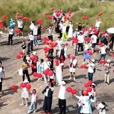 第一天,1095万元!