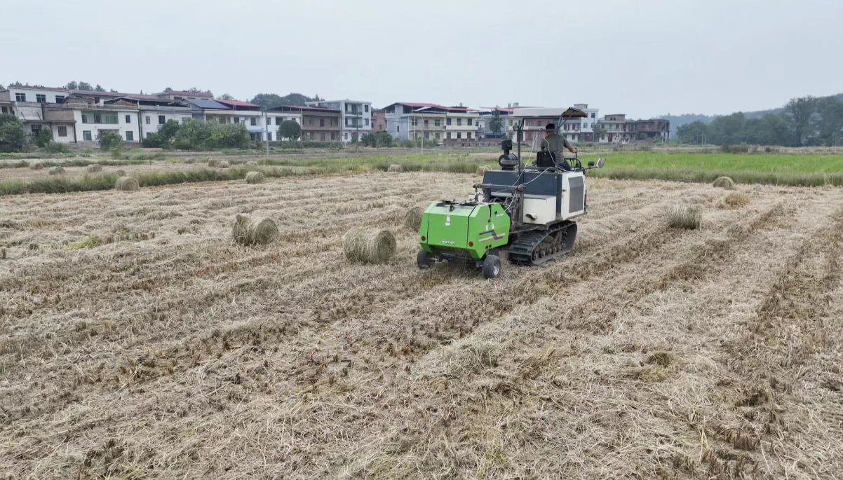 郴州安仁：“七策”精治秸秆 生态效益双丰收
