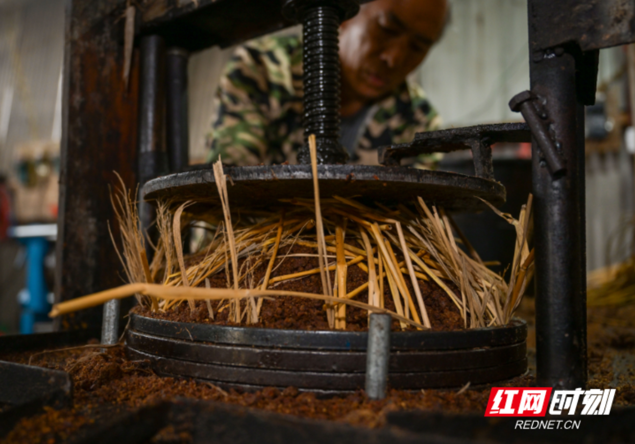 资兴市：深冬榨油忙