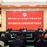 郴州市六届人大五次会议代表团召集人和党员负责干部会议召开