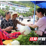 桂东沤江：高擎生态旗 描绘新画卷