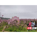 嘉禾县普满乡:桃韵满乡醉游客