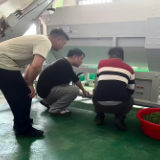 桂东县：监督“探头”护航茶香远扬